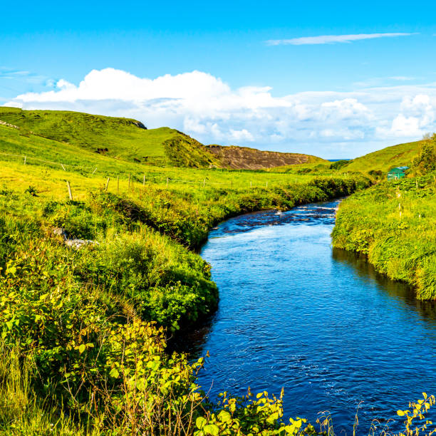 Beautiful green meadow with a stream near the village of Doolin stock photo