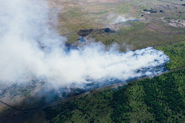 istock Forest fire in hot summer day, burning dry grass and trees on field, aerial view 1158178593