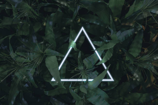 istock 3d rendering of lighten neon triangle with corn plants. Flat lay of minimal nature style concept 1158179024