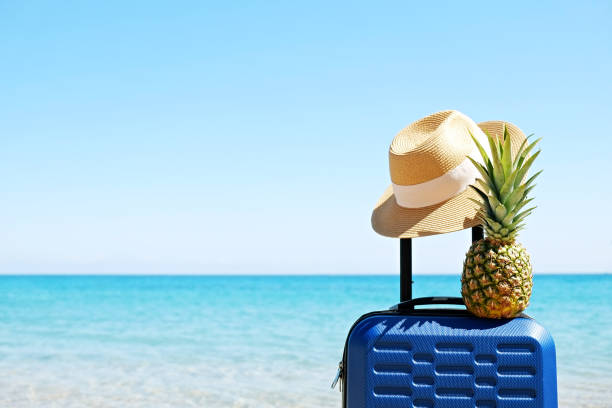 istock Pinapple on plastic suitcase over the sea water background. 1158180367