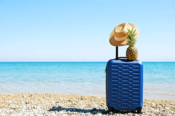 istock Pinapple on plastic suitcase over the sea water background. 1158180373