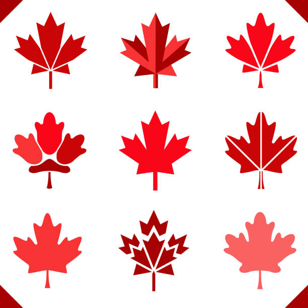 ahorn-blatt-symbol in rot für kanada flagge satz von blättern - maple leaf stock-grafiken, -clipart, -cartoons und -symbole