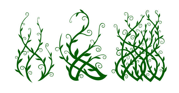 Green clip arts with ornate liana shapes Beautiful green clip arts with ornate liana shapes on white background spiked stock illustrations