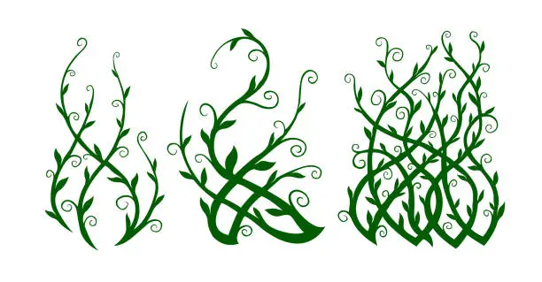 Vector illustration of Green clip arts with ornate liana shapes