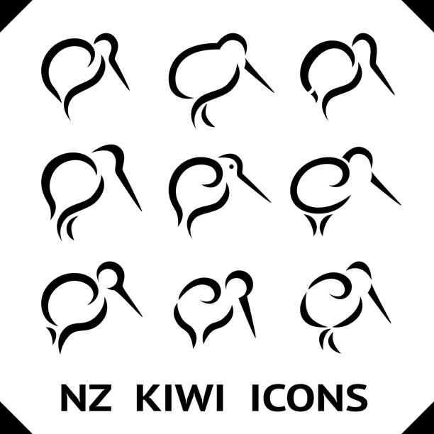 New Zealand Kiwi Bird icons or tattoo with Maori Style Koru Design New Zealand Kiwi Bird icon or tattoo with Maori Style Koru Design grouped maori tattoos stock illustrations