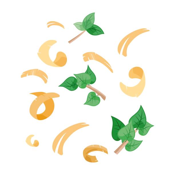 ilustraciones, imágenes clip art, dibujos animados e iconos de stock de fondo vectorial abstracto con virutas de madera, extremidades de árboles y hojas aisladas en blanco - virutas