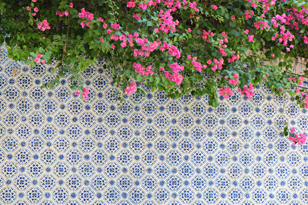 Pink flowers over the wall with copy space.