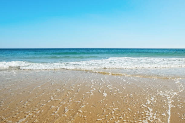 istock Portugal beach panoramic scenery. 1158182644