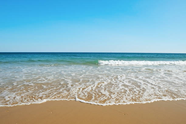 istock Portugal beach panoramic scenery. 1158182656