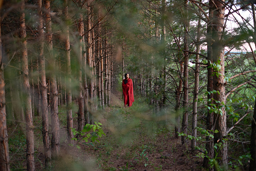 Woman at distance covered with red plaid and standing in alley of coniferous woods looking away
