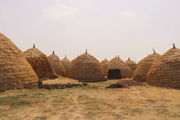 This images was shoot in Haryana, India and shows rural traditional Haystacks.