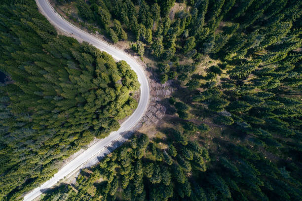 Aerial road trip Drone point of view over a road curve in the pine woodland in the Rodopi mountains. responsible business stock pictures, royalty-free photos & images