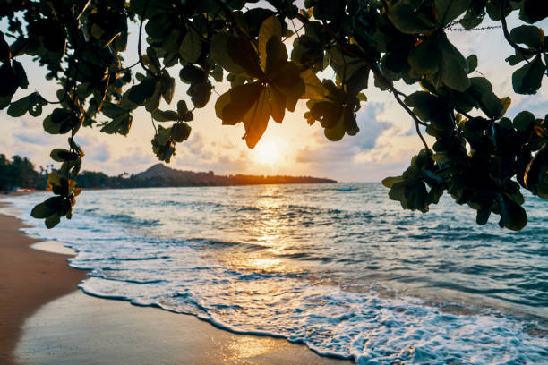 istock Amazing sunset at the beach 1158189285