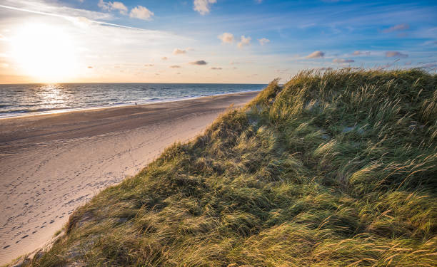 istock North sea beach, Jutland coast in Denmark 1158189632
