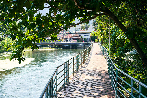 Brick pedestrian bridge on river in tropical island. scenic road under green mangrove trees