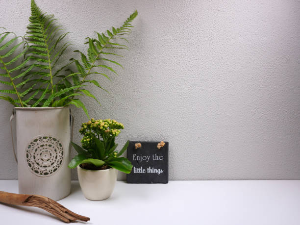 istock Decoration with plants nice ambiance for a greeting card with copy space for your own text 1158193400