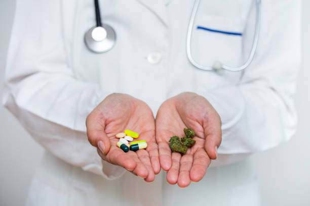 Doctor hand holding bud of medical cannabis and pills Doctor hand holding bud of medical cannabis and pills. medical cannabis stock pictures, royalty-free photos & images