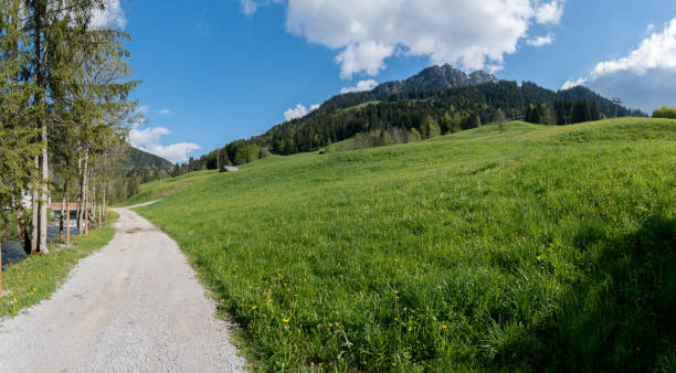 живописный горный пейзаж в швейцарских альпах в прекрасный летний день - berne canton фотографии стоковые фото и изображения