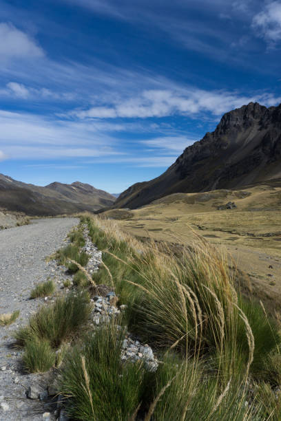 istock gravel road cutting through empty high alpine grasslands 1158194361