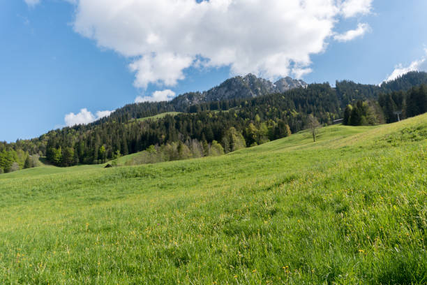 malerische berglandschaft in den schweizer alpen an einem schönen sommertag - berne canton switzerland landscape travel stock-fotos und bilder