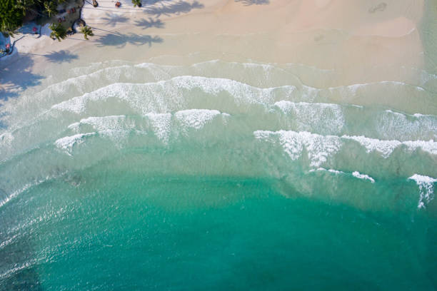 aerial top view of ocean waves, beach and rocky coastline and beautiful forest. beautiful nature background. - goa beach india green imagens e fotografias de stock