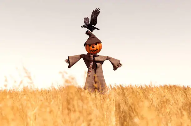 Scarecrow pumpkin in field,3d rendering
