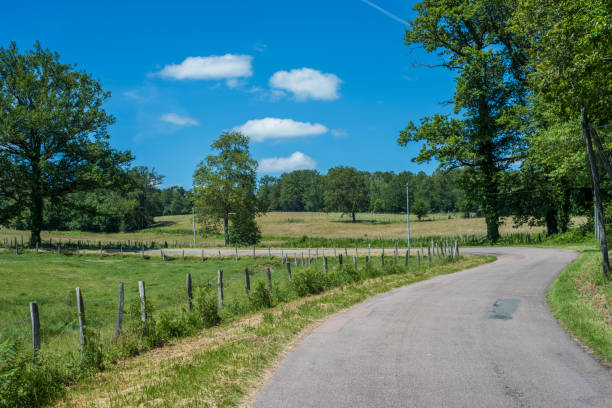 istock Small road winding through the French countryside 1158196183