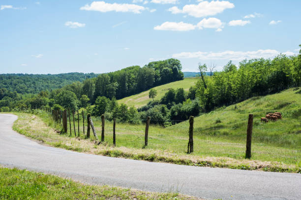 istock Small road winding through the French countryside 1158200364