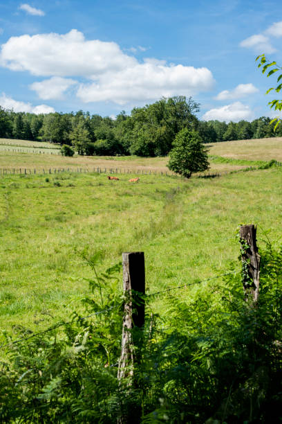istock Scenery in the French countryside 1158201193