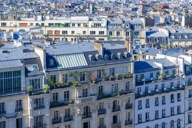 Paris, cityscape, typical roofs, aerial view from the Pantheon