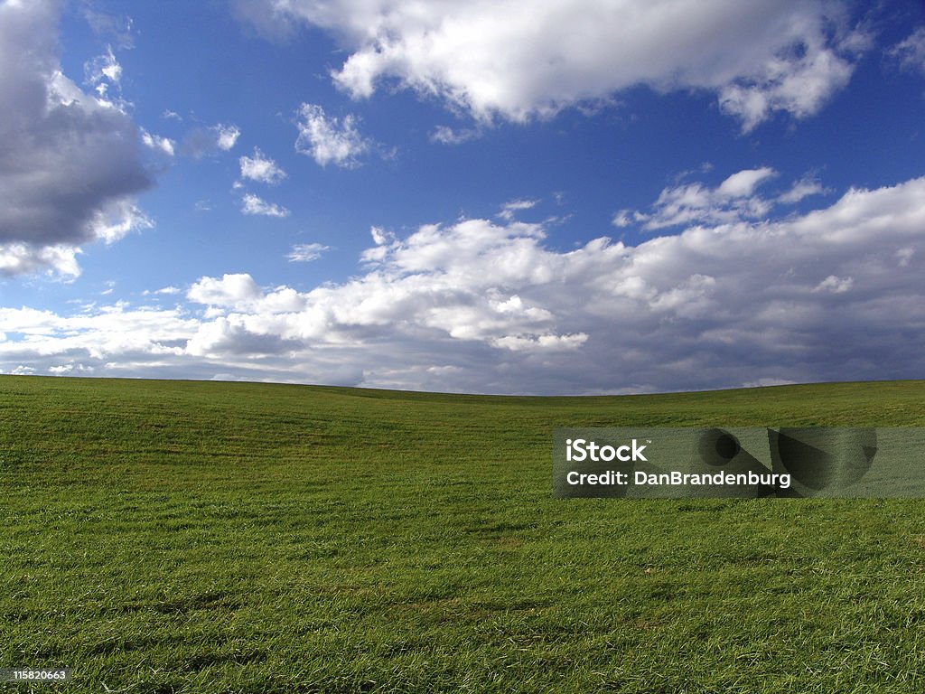 Champ vert et bleu ciel - Photo de Agriculture libre de droits