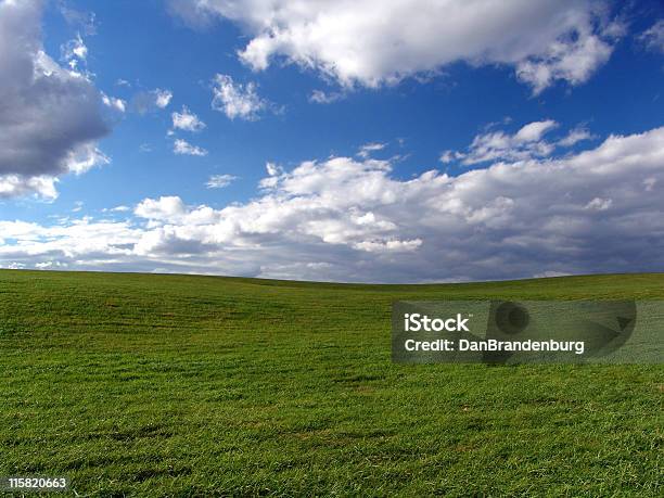 Травянистое Поле Голубое Небо — стоковые фотографии и другие картинки 12 часов - 12 часов, Вдохновение, Весёлый