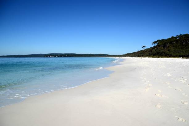 istock Hyams beach, Jervis Bay, Australia 1158208848
