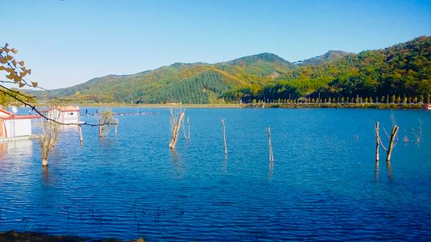istock Landscape in front of the lake 1158209025