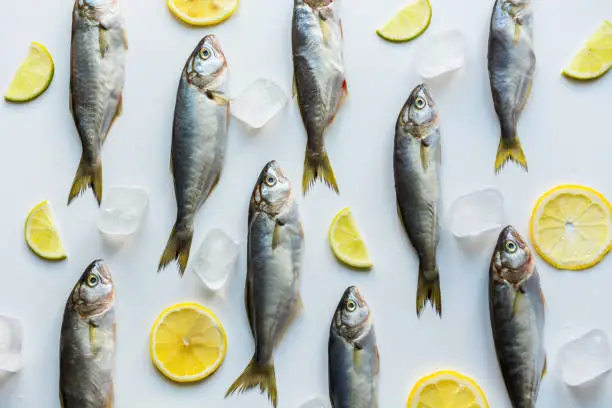 Fresh bluefish with lemon on white background. Fish pattern. View from above. Flat lay.