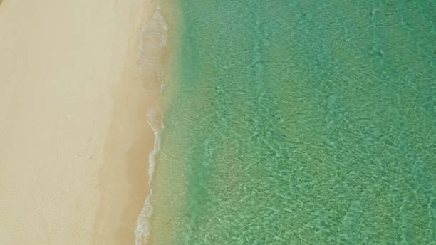 istock Wide tropical beach with white sand, view from above 1158213739