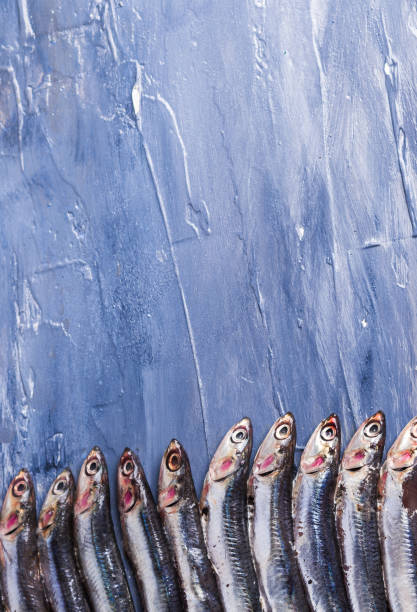 istock Fish pattern. Fresh anchovies on blue 1158215103