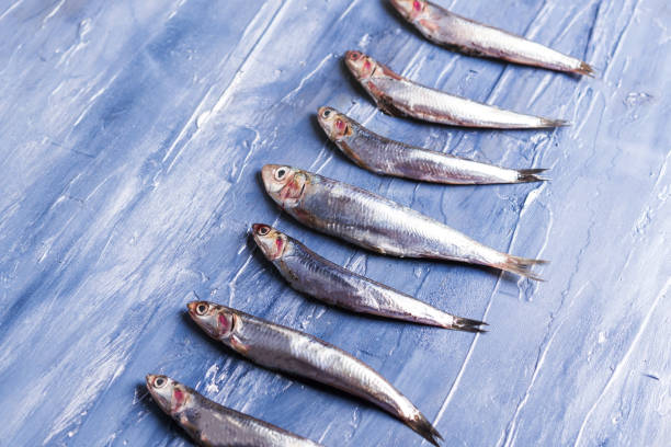 istock Fish pattern. Fresh anchovies on blue 1158215105