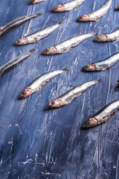 istock Fish pattern. Fresh anchovies on blue 1158215107