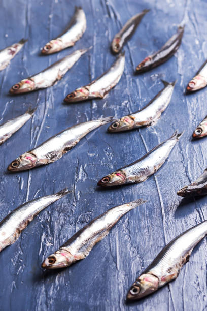istock Fish pattern. Fresh anchovies on blue 1158215111