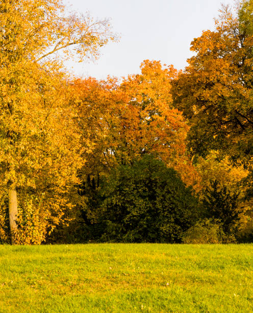 istock Autumn colorful landscape 1158215832