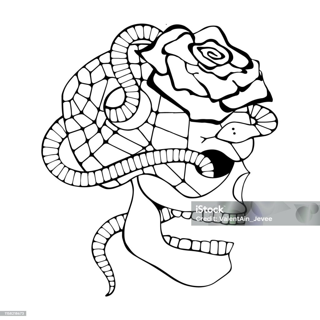 Ilustración de Vector Negro Y Blanco Dibujado A Mano Ilustración Cráneo Con Serpiente Diente De Rosa Cara De Silueta De Humano Imprimir Horror Para La Camiseta De Estilo Mexicano Día De La Ilustración de Vector Negro Y Blanco Dibujado A Mano Ilustración Cráneo Con Serpiente Diente De Rosa Cara De Silueta De Humano Imprimir Horror Para La Camiseta De Estilo Mexicano Día De La