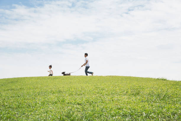 padre e figlio che camminano cane insieme nel parco - dog pets healthy lifestyle cheerful foto e immagini stock