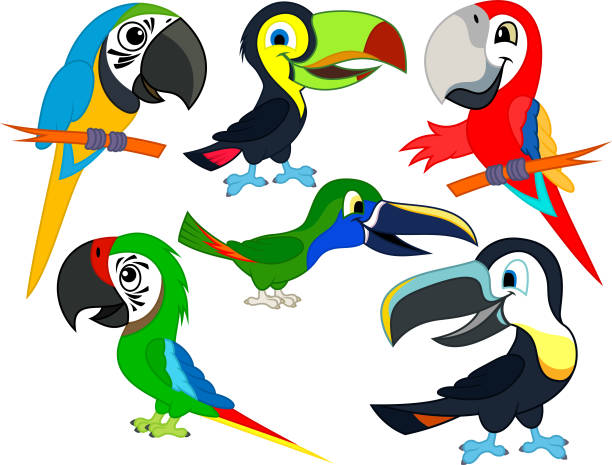 set of Cute Vector cartoon macaw parrots and toucans set of Cute Vector cartoon macaw parrots and toucans channel billed toucan stock illustrations