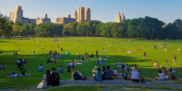 Panorama of Central Park in Manhattan, New York, USA.