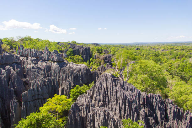 istock Beautiful landscape of Madagascar 1158221827