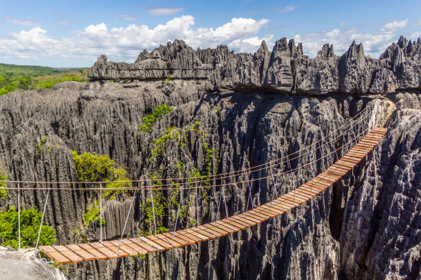 hermoso paisaje de madagascar - puente peatonal fotografías e imágenes de stock