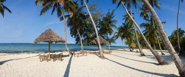 istock Zanzibar White Sand Beach 1158223273