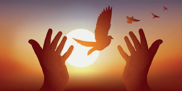 ilustrações de stock, clip art, desenhos animados e ícones de symbol of peace with clasped hands releasing a bird's flight at sunset. - freedom praying spirituality silhouette
