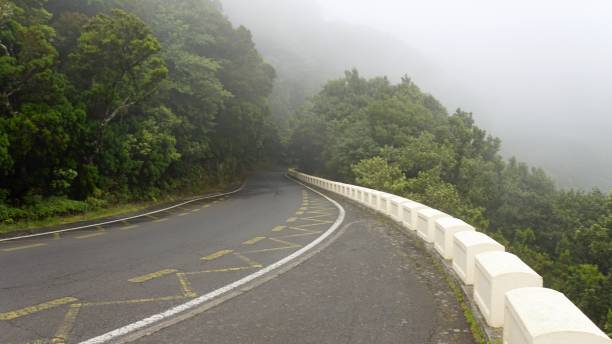 istock Tenerife Island 1158228181